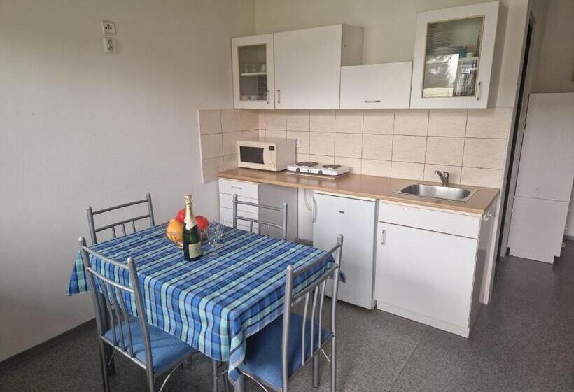 פנסיון Penzión Koliesko