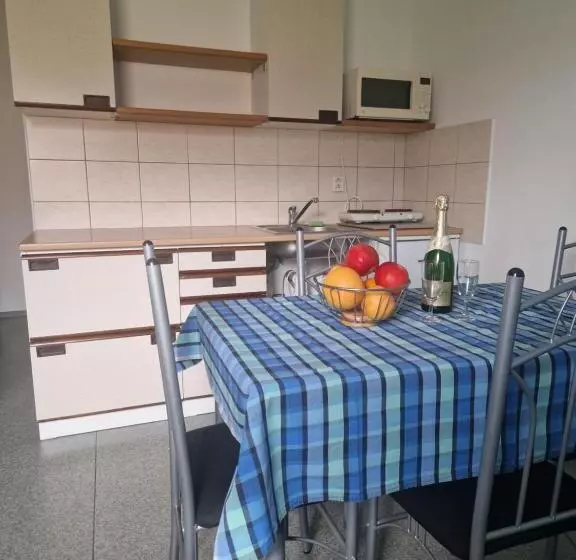 Majatalo Penzión Koliesko