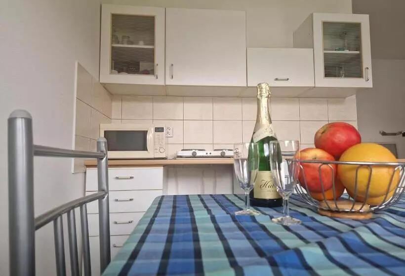 Majatalo Penzión Koliesko