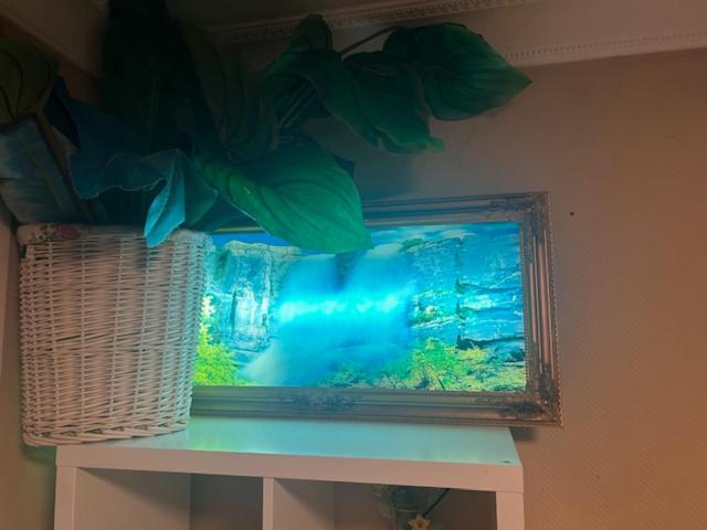 Bed and Breakfast Jungle Magic Room Near Atomium , Heyzel Stadium