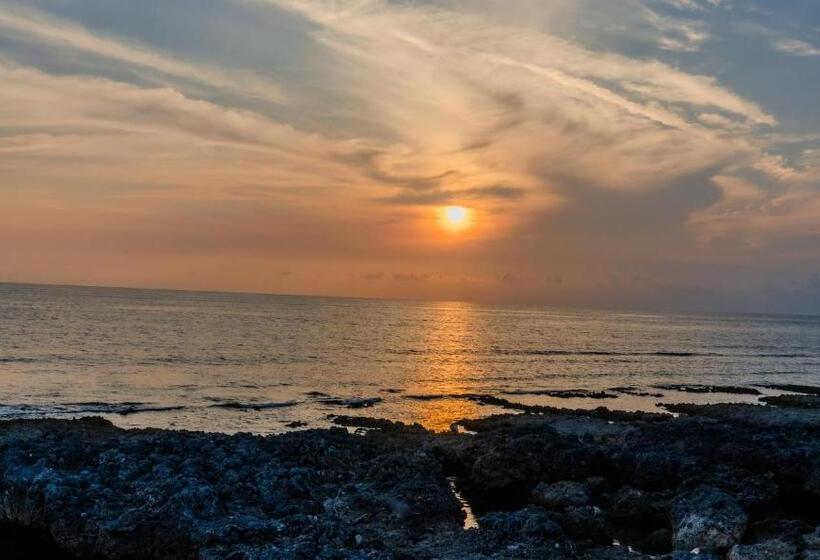 민박 Sofia   Summer Coastal Suites