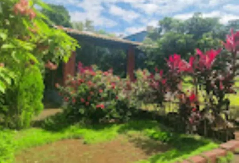 ホテル Green Blossom Resort Roha