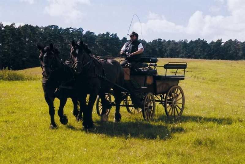 酒店 Landhaus Damerow 1