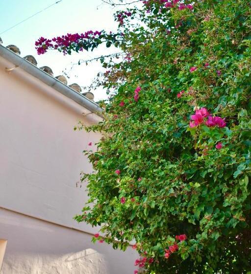 ベッドアンドブレックファースト Hospedajeloscardones