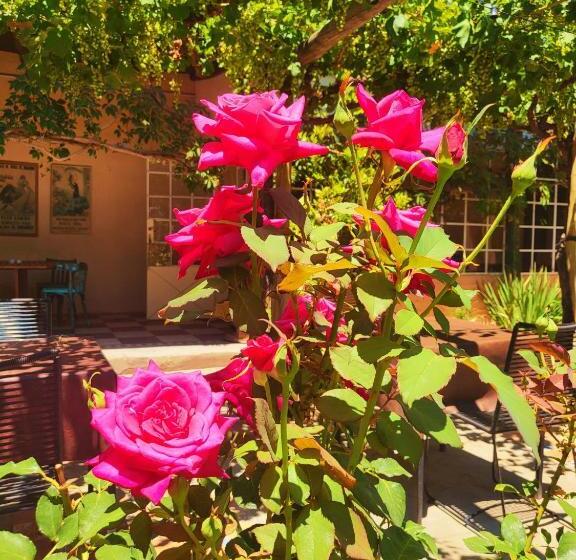 فندق Casa Vidal Guesthouse