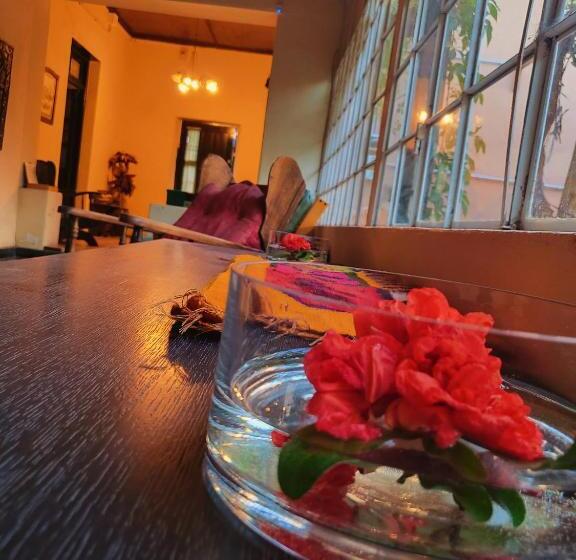 فندق Casa Vidal Guesthouse