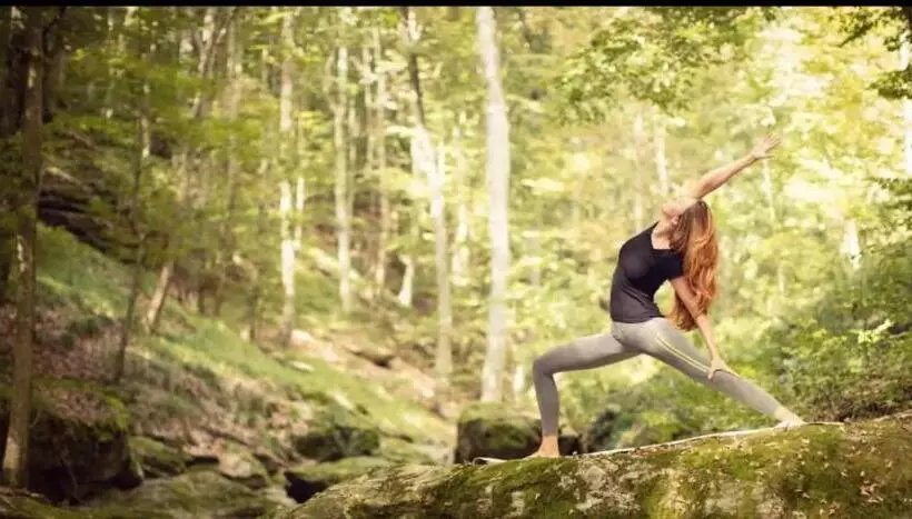 Majatalo Nature Eco Suite In Wakefield Quebec