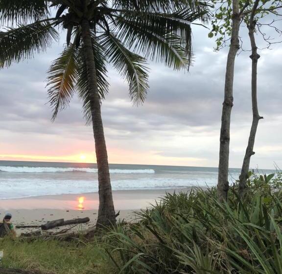 هاستل Willy S Place Santa Teresa #2