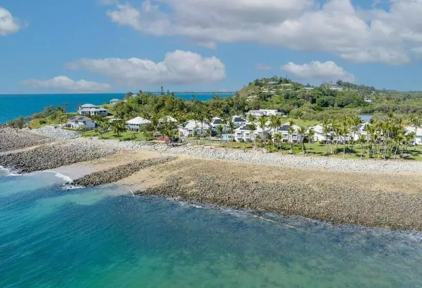 Indulge Beachfront At Dolphin Heads Resort   Lousha Bach