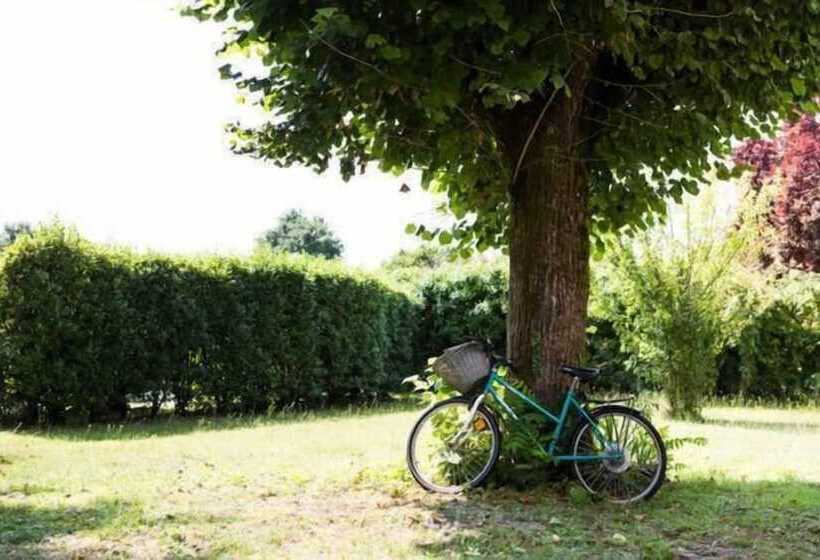 Bed and Breakfast Château Beauséjour