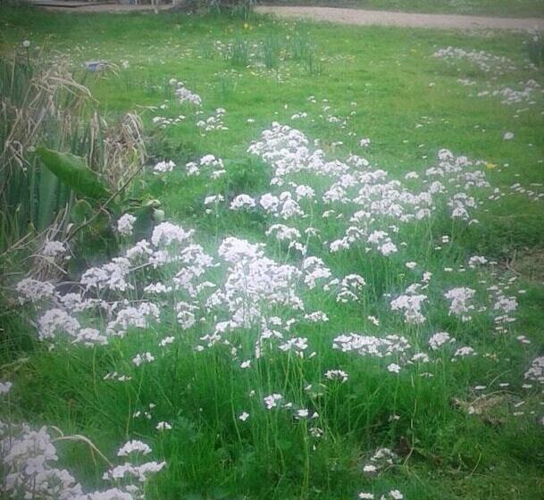 צימר La Cle Des Jardins