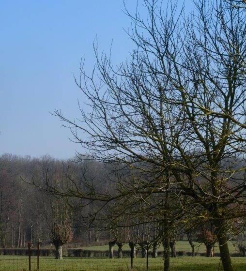 צימר Les Temps Gourmands