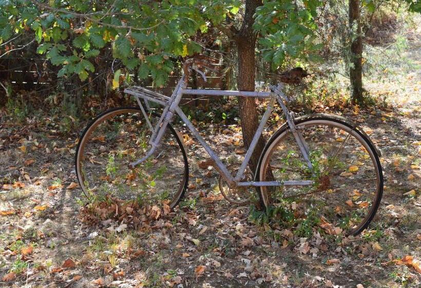 צימר Studios Et Chambre La Sauvasse