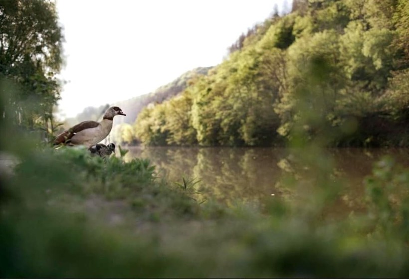 בית מלון כפרי Pension & Seminarhaus Haus Am Fluss