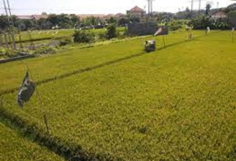 هتل Ulun Suwi Guesthouse