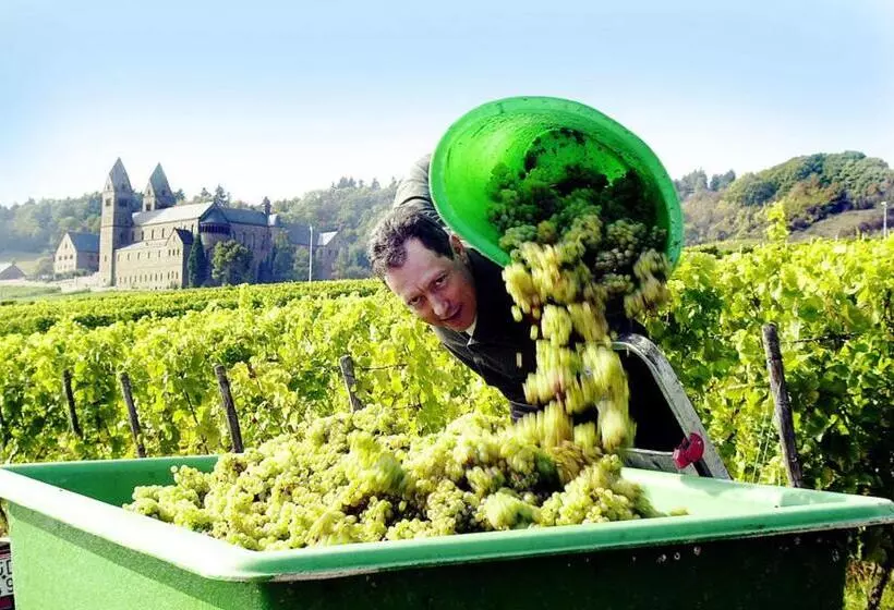 Hotelli Weingut Magdalenenhof