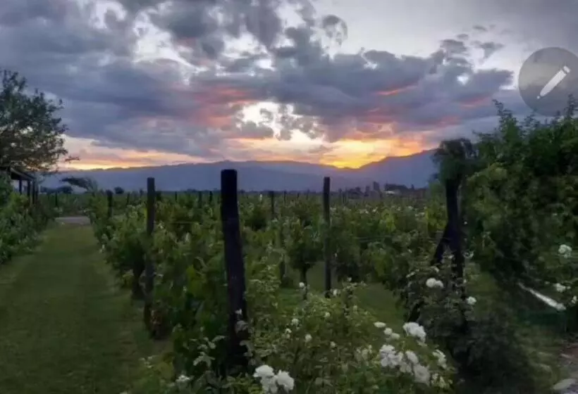 ユースホステル Finca La Puebla