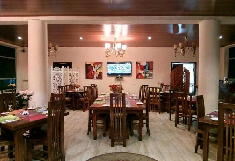 Vandrarhem The Hill Cool Cottage