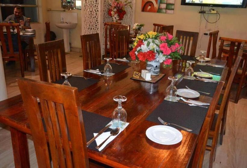 Vandrarhem The Hill Cool Cottage