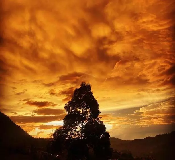 Aamiaismajoitus (B&B) Dreamstay Kodaikanal