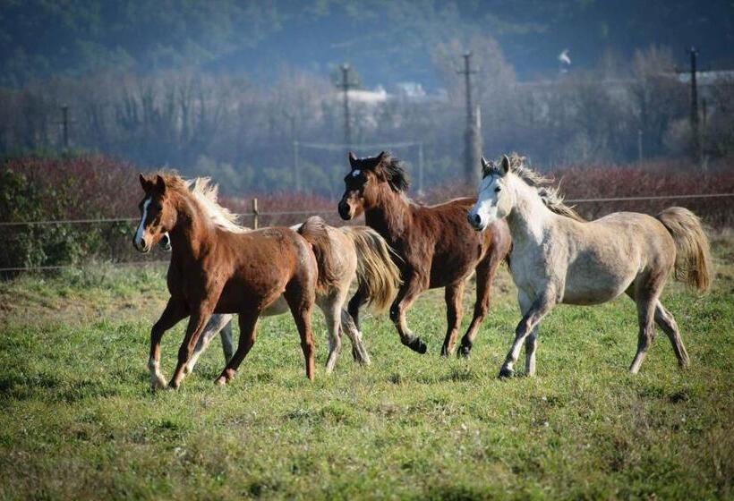 مبيت وإفطار Mas De La Sauline