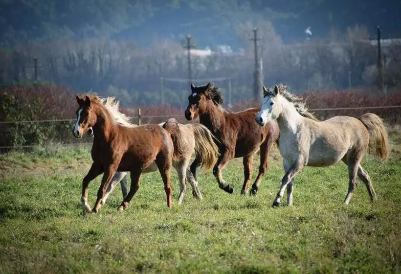 Aamiaismajoitus (B&B) Mas De La Sauline