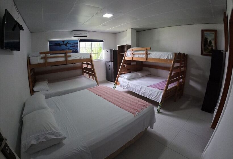 ホテル Posada Shang Giovys