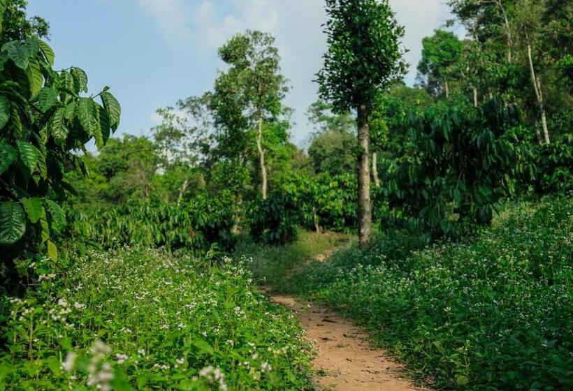 Hotel Hill Rows Estate By Greenescapes