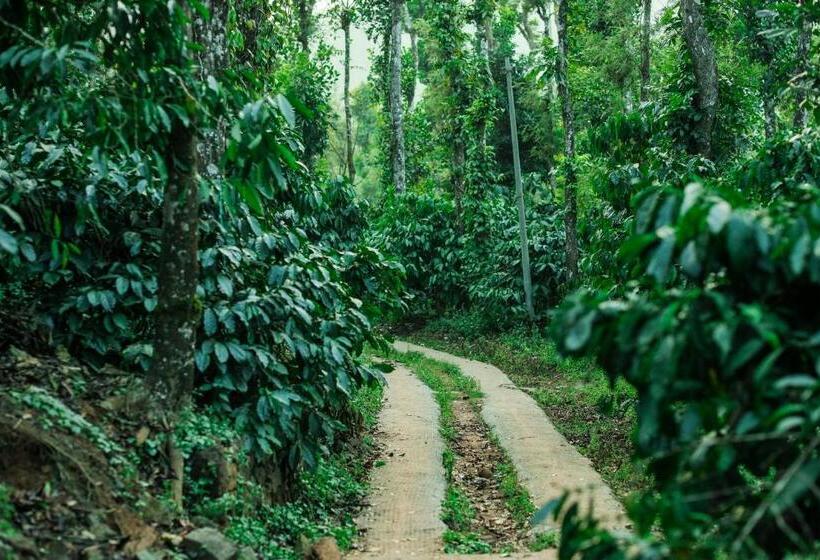 Hotel Hill Rows Estate By Greenescapes