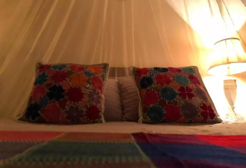 ホテル Posada Rancho Los Laureles