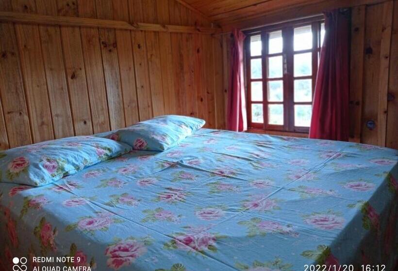 پانسیون Casa Inteira Com Piscina