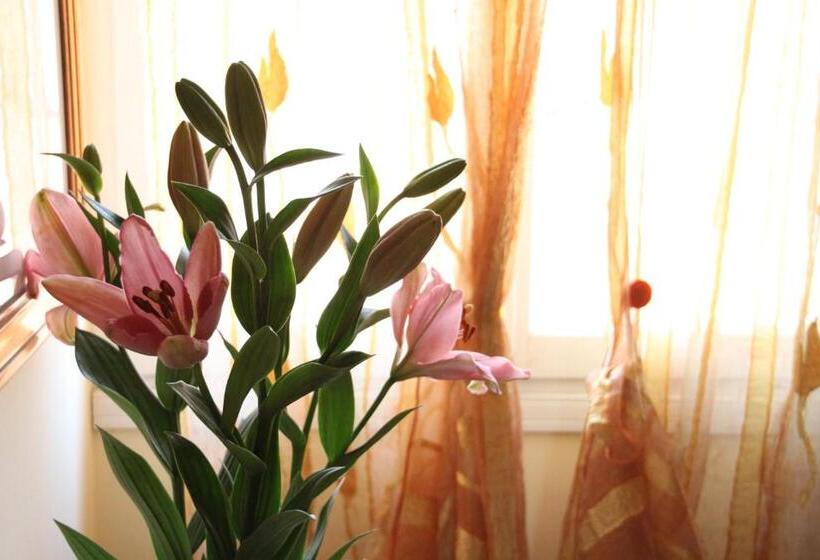 Residence Al Bacareto