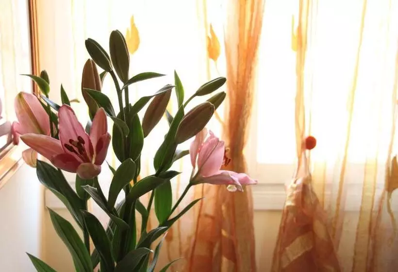 Residence Al Bacareto