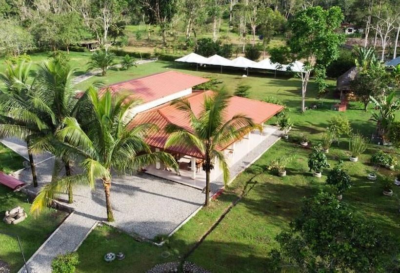 Hotel Magic Paradise