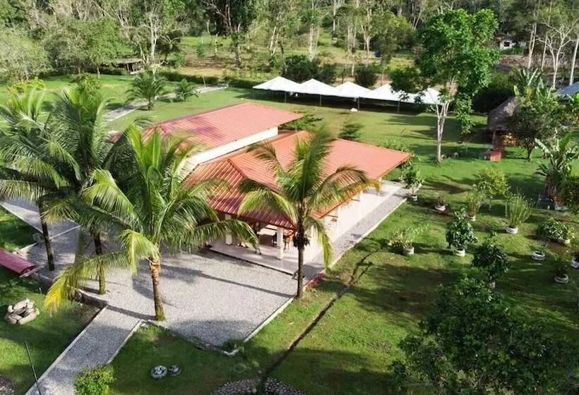 ホテル Magic Paradise