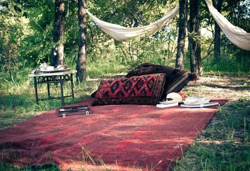 هتل Royal Chundu Island Lodge