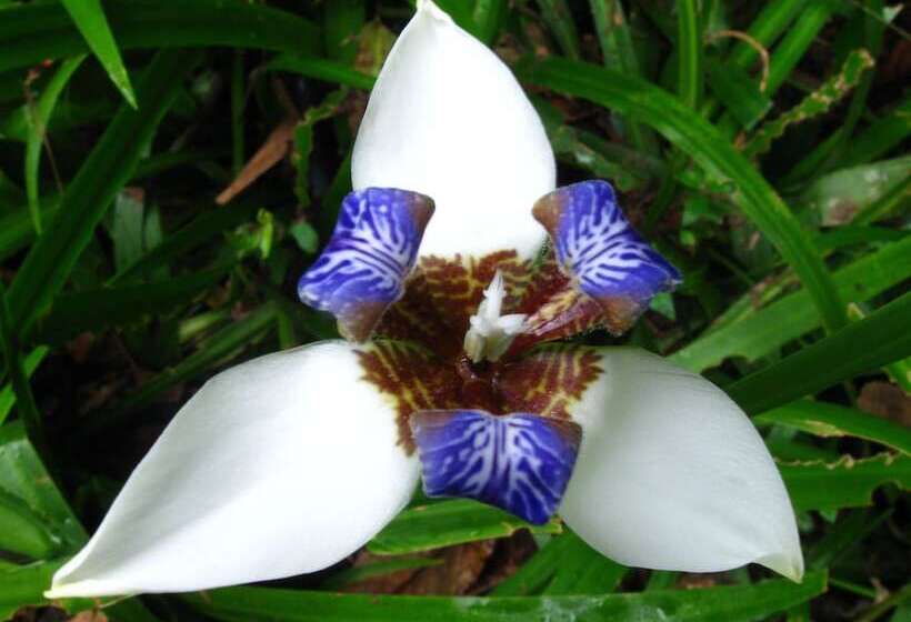 Hotel Sacha Urco Lodge Y Bosque Protector