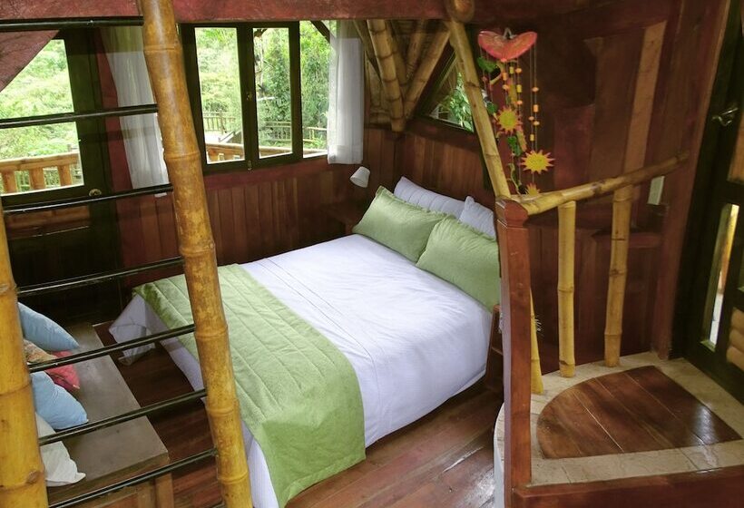 Hotel Sacha Urco Lodge Y Bosque Protector