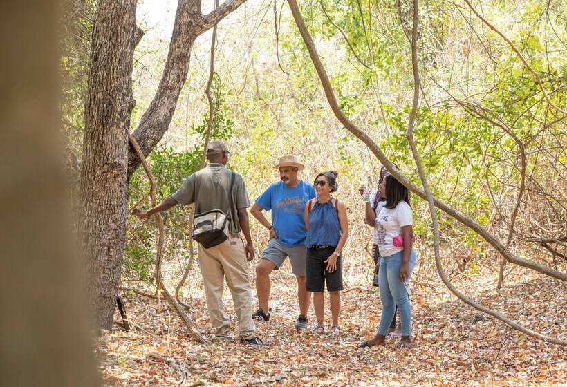 Hotel Tintswalo Siankaba