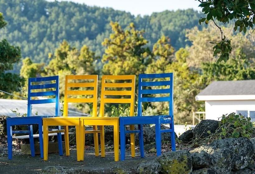 Jeju Motungedoljib Dogchaepension