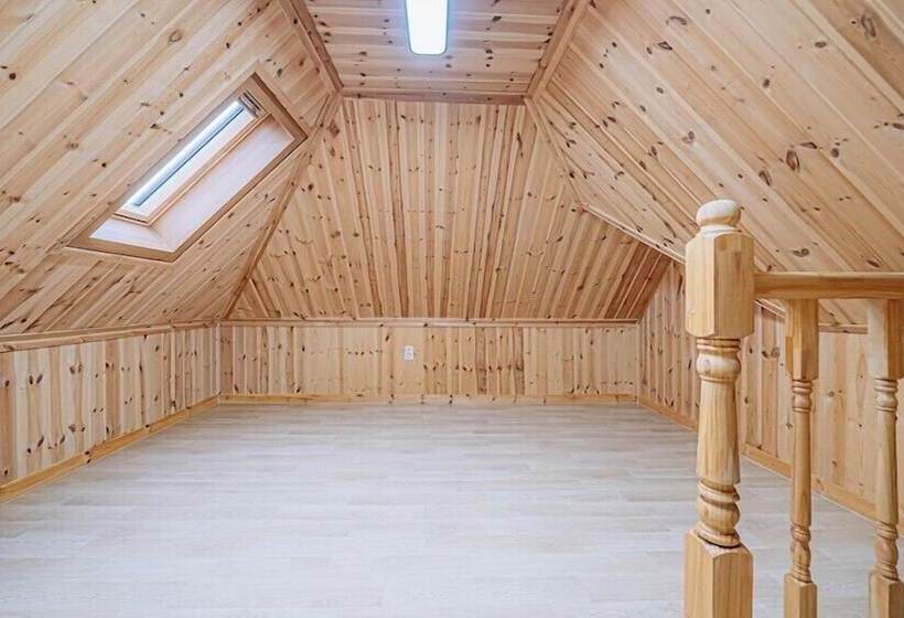 Pension Count Star Night