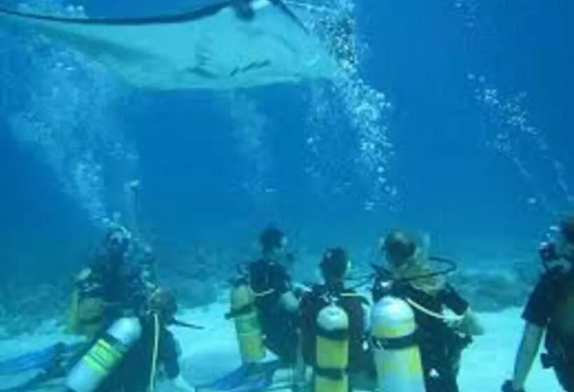 پانسیون Fins Dive And Leisure