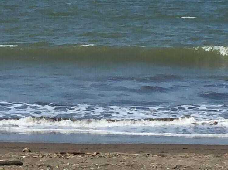 پانسیون Frente Al Mar Loft