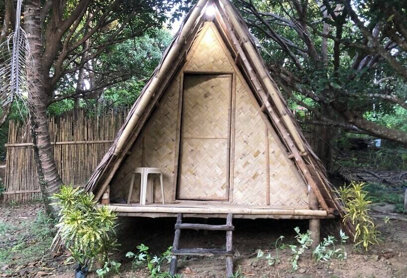 פנסיון Tay Delings Place