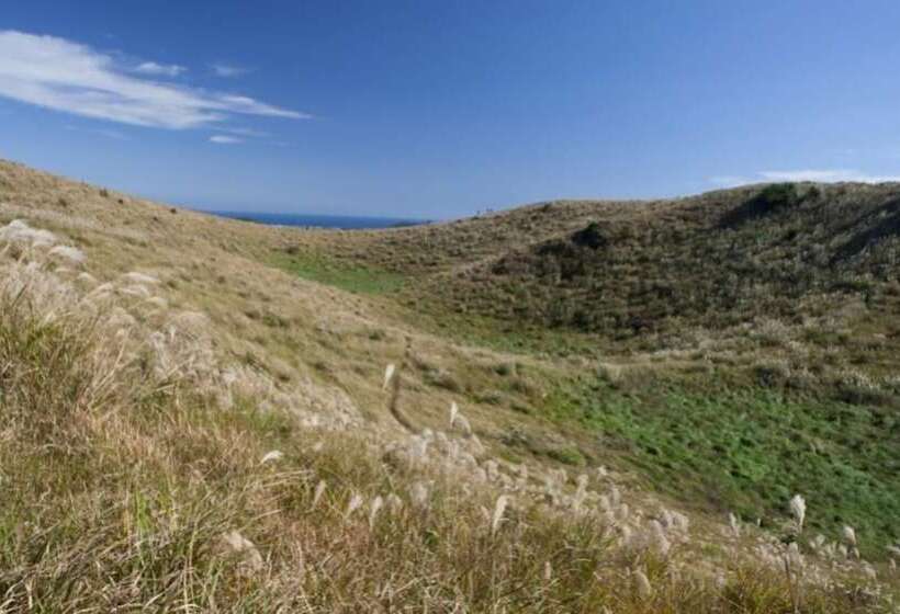 Seogwipo Bogeumji Pension