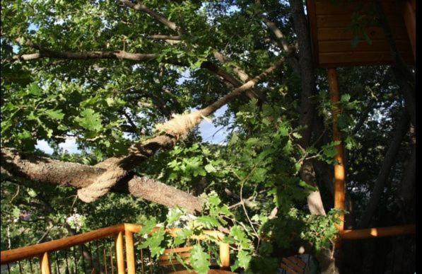 민박 Les Cabanes En Provence