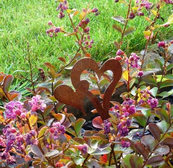 مبيت وإفطار L’été En Novembre