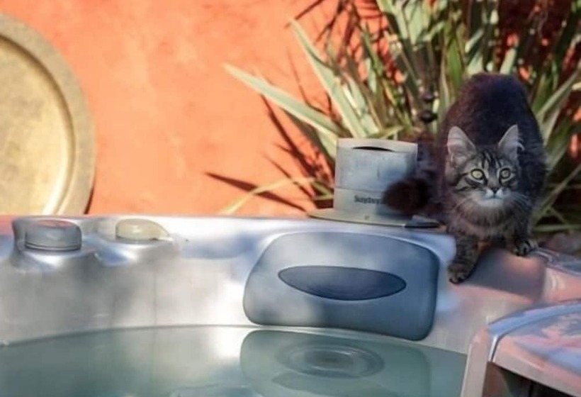 פנסיון Le Corrigot