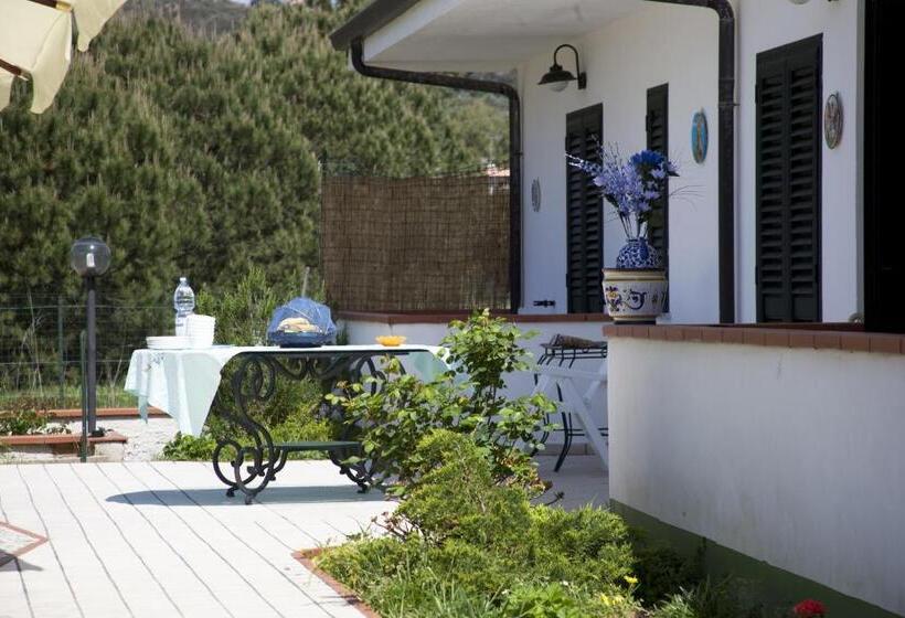 Отель Villa Maredona