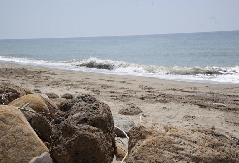 Отель Villa Maredona